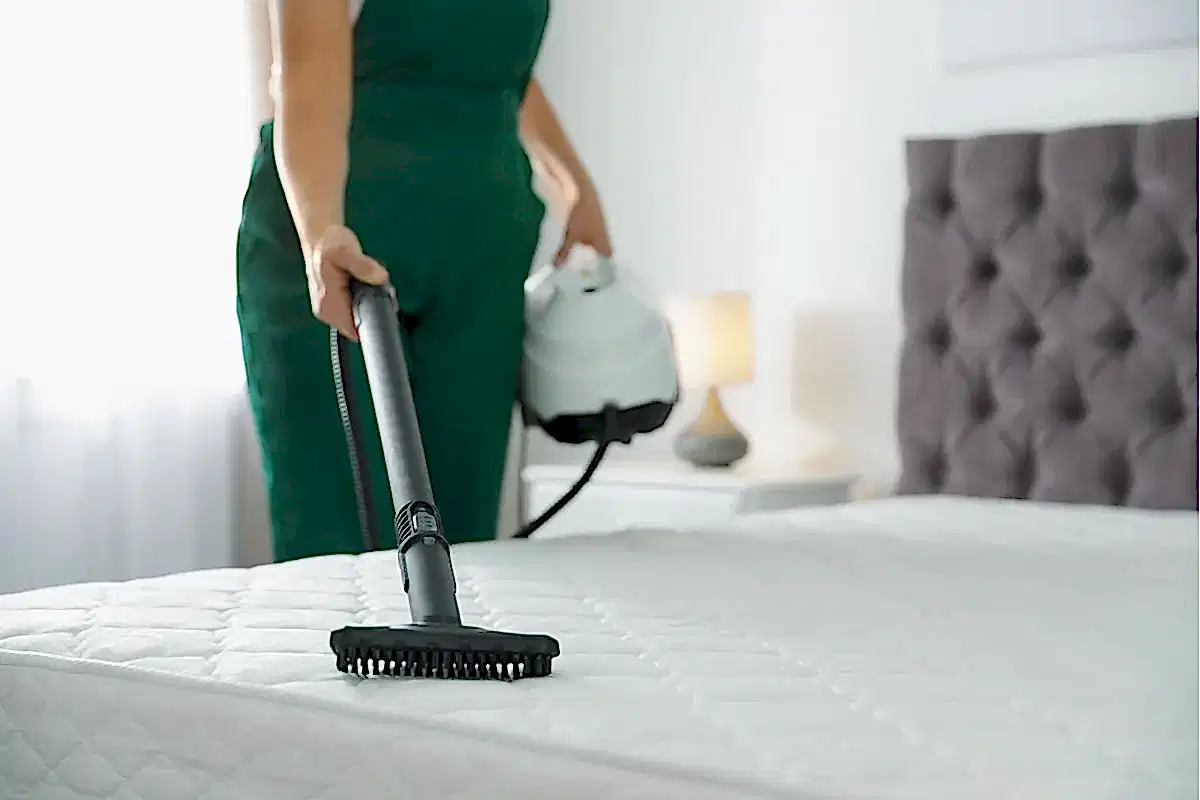 Yataktan Kedi Çişi Kokusu Nasıl Çıkar?